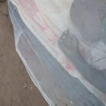 Mosquito Nets