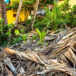 Where Most Needed To Address Rebuilding After A Disaster